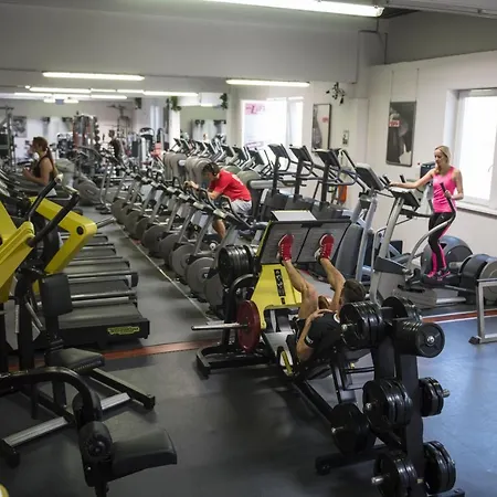 Apartment Einzimmer-apartment 25 M2 Gartenzinken Im Zentrum Von Bad Ischl