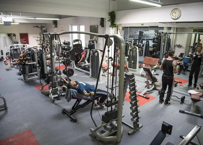 Einzimmer-apartment 25 M2 Gartenzinken Im Zentrum Von Bad Ischl